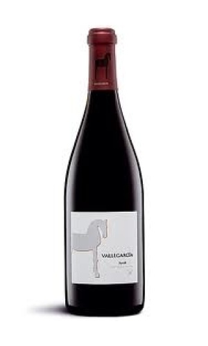 Vallegarcía Syrah 2008