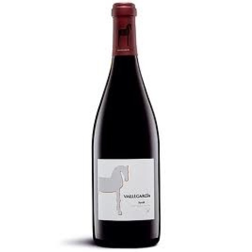 Vallegarcía Syrah 2008