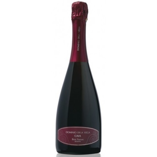 Dominio de la Vega Brut Nature Reserva