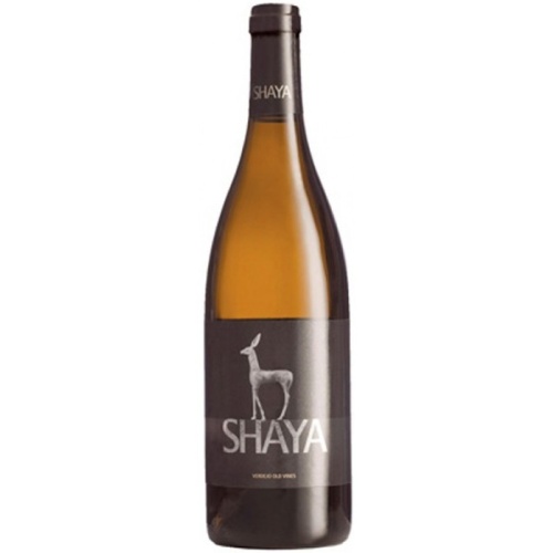 Shaya Verdejo 2010