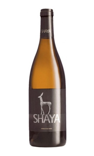 Shaya Verdejo 2010